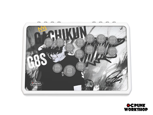PWS R14 Gachikun Model